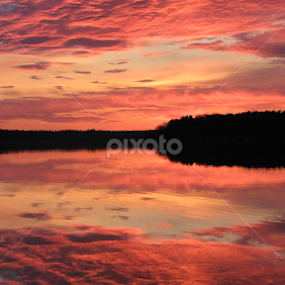 reflection by Darius Morgendorfer - Landscapes Sunsets & Sunrises