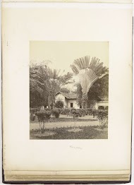 Gezicht op huis met tuin en palmbomen,  Langkat Sumatra