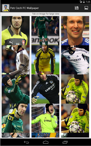 Petr Cech FC Wallpaper