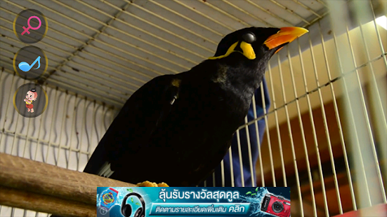 How to mod คุยกับขุนทอง patch 1.0 apk for pc