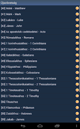 Hungarian Holy Bible poster 14