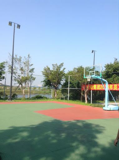 长隆基地篮球场