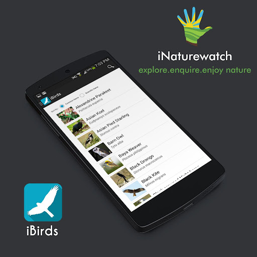 【免費書籍App】iBirds-APP點子