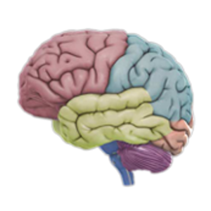 3D Brain - Android Apps on Google Play