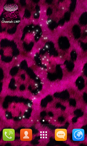 Cheetah Wallpapers for Free