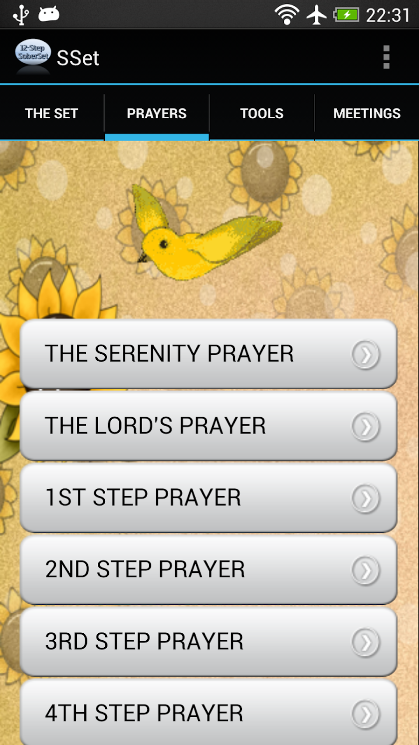 The 12 Step Sober Set Screen 3