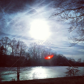 Double orbs in NJ park by Dianne Collins - Landscapes Sunsets & Sunrises