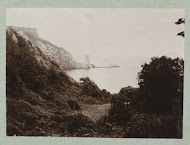 Het rotsachtige landschap aan zee in de buurt van Torquay