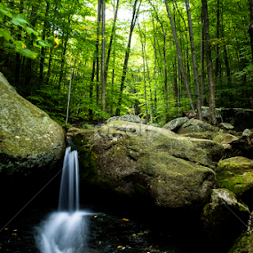 Miners Run by Isaac Golding - Nature Up Close Rock & Stone
