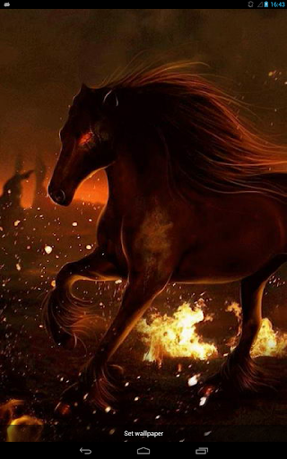 Sinister Horse on Fire Live WP