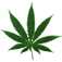 How To Grow Hydro logo