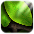 Tap Leaves Free Live Wallpaper2.0.1