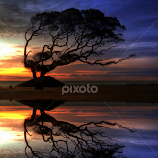 Reflection of Troubled Times by Greg Mimbs -  