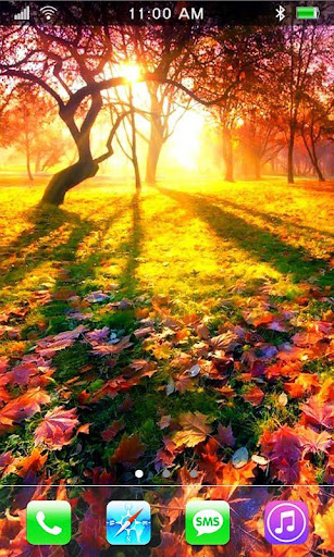 Autumn Leavs live wallpaper