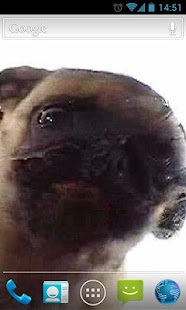 Dog Licker Live Wallpaper LWP Screen 2