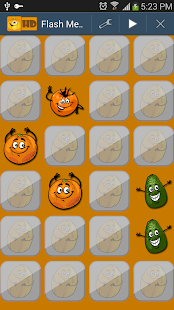 Flash Memory Screenshots 4