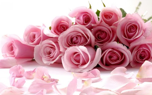 Download Rose Live Wallpaper APK for Android