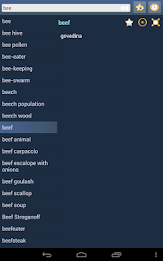 English Croatian dictionary poster 14