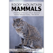 Rocky Mountain Mammals