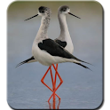 Wonderful Birds Photography logo