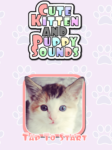 Cute Kitten Puppy Sounds HD