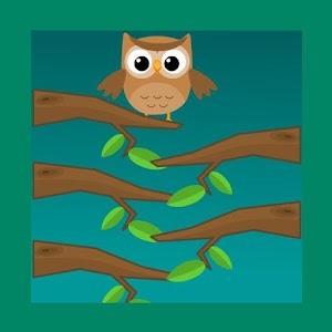 Owl Challenge for PC and MAC