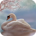 Live Wallpaper SMG Fly duck logo