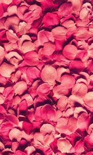 Petals live wallpaper Screenshots 4