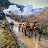 Old vehicles - Horses cart and steam train by Mirela Savu -  