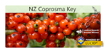 NZ Coprosma Key APK