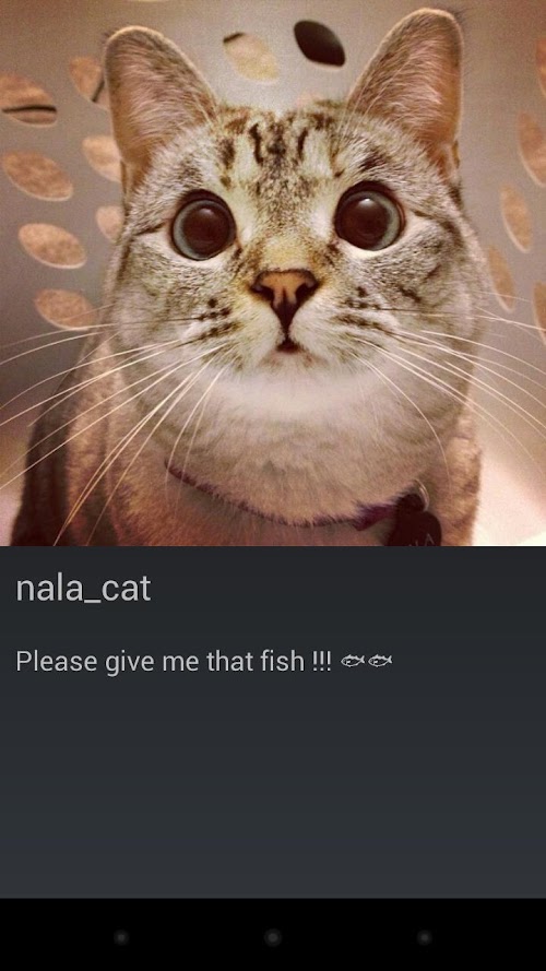 Android application Instaslide screenshort
