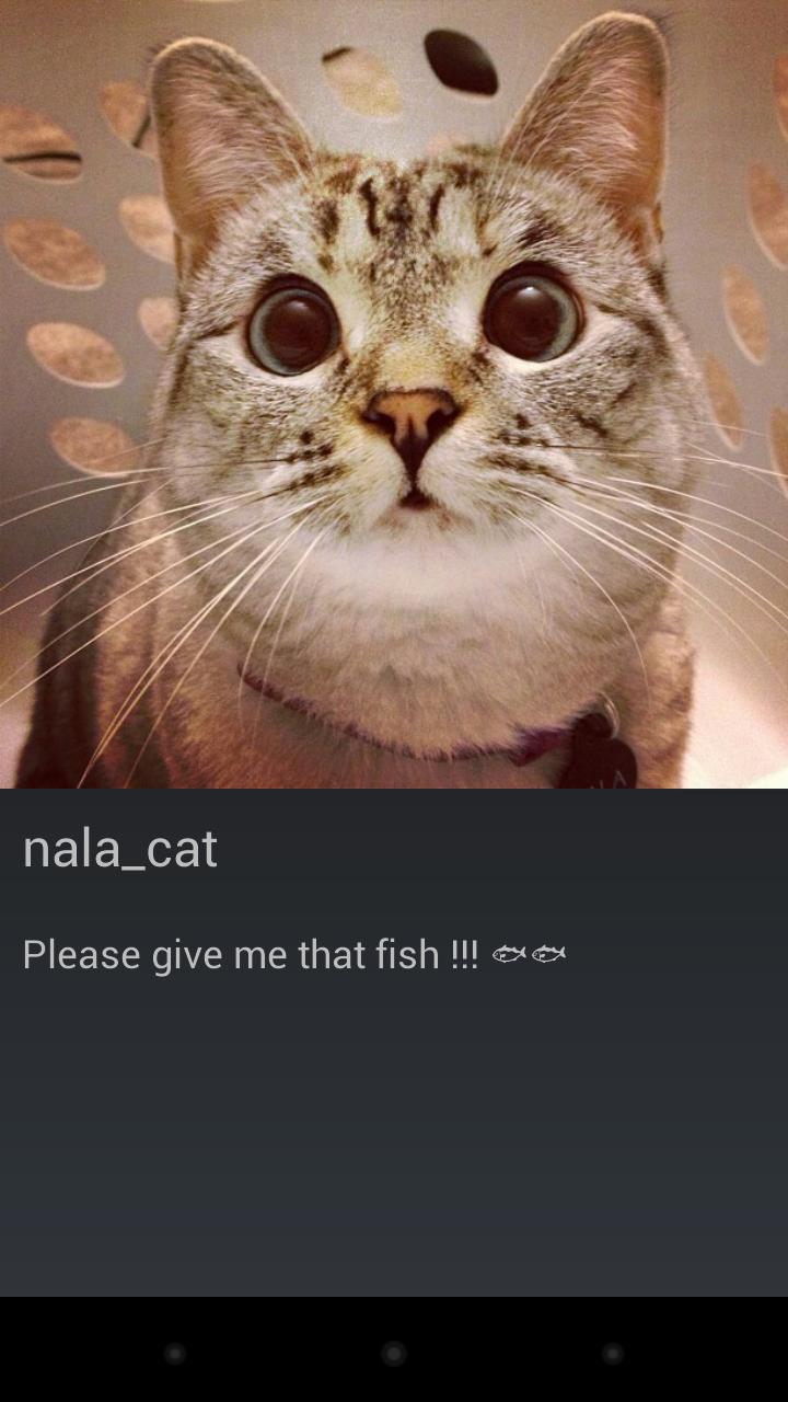 Instaslide Screen 1