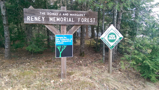 Reney Memorial Forest