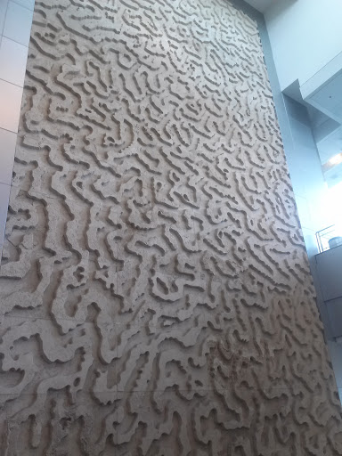 Upright Maze at Miami International Airport