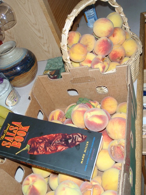 [P9070090[10].jpg]