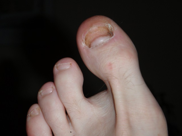 [P9130136[2].jpg]