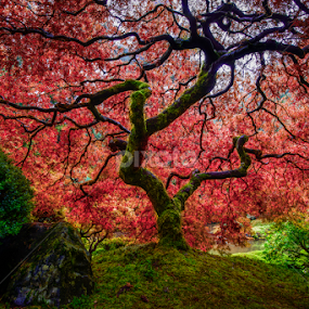 PS by Jim Harmer - City,  Street & Park City Parks