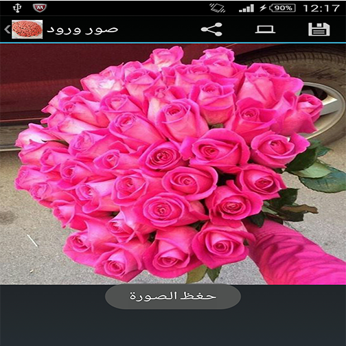 【免費攝影App】صور ورد-APP點子