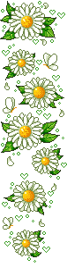 5a.gif