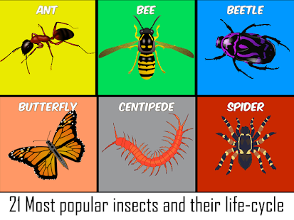 How to install Insect & Arachnid Life Cycle lastet apk for laptop