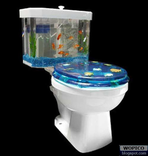 Toilet With Aquarium