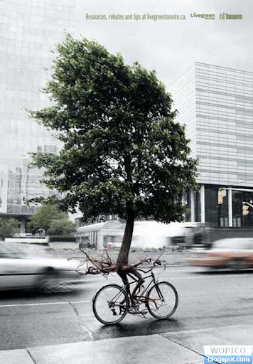 Tree Bicycle