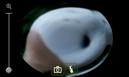 Fisheye Camera Effect II