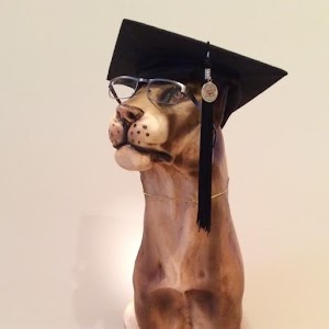 CAP Evaluator Lite 1.0