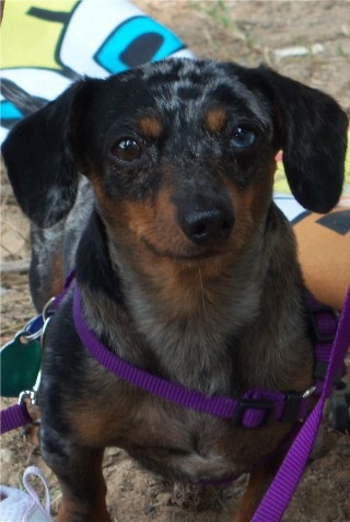 [mr bitsy lake ok[2].jpg]