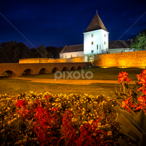 Nadasdy castle at night, Sarvar (Hungary) by Zoltan Duray - Buildings & Architecture Public & Historical
