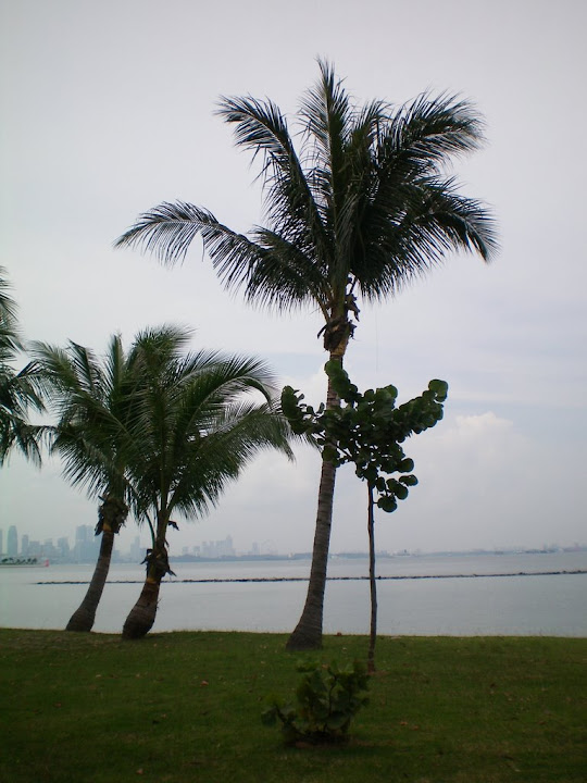 Extrémité ouest de Kusu's Island