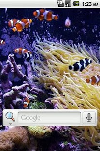 How to install Aquarium Live Wallpaper 3.1 mod apk for pc
