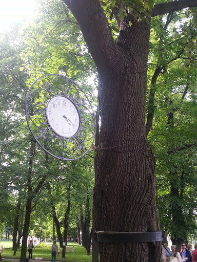 Часы На Дереве