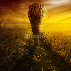 PULANG SENJA (Ilham Abdi) by Ilham Abdi - Digital Art People
